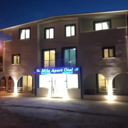 Fully Furnished Comfortable Flat In Daire